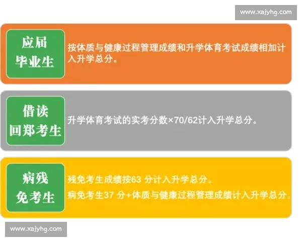 全面解析全球热门体育运动项目的发展趋势与竞技魅力探讨